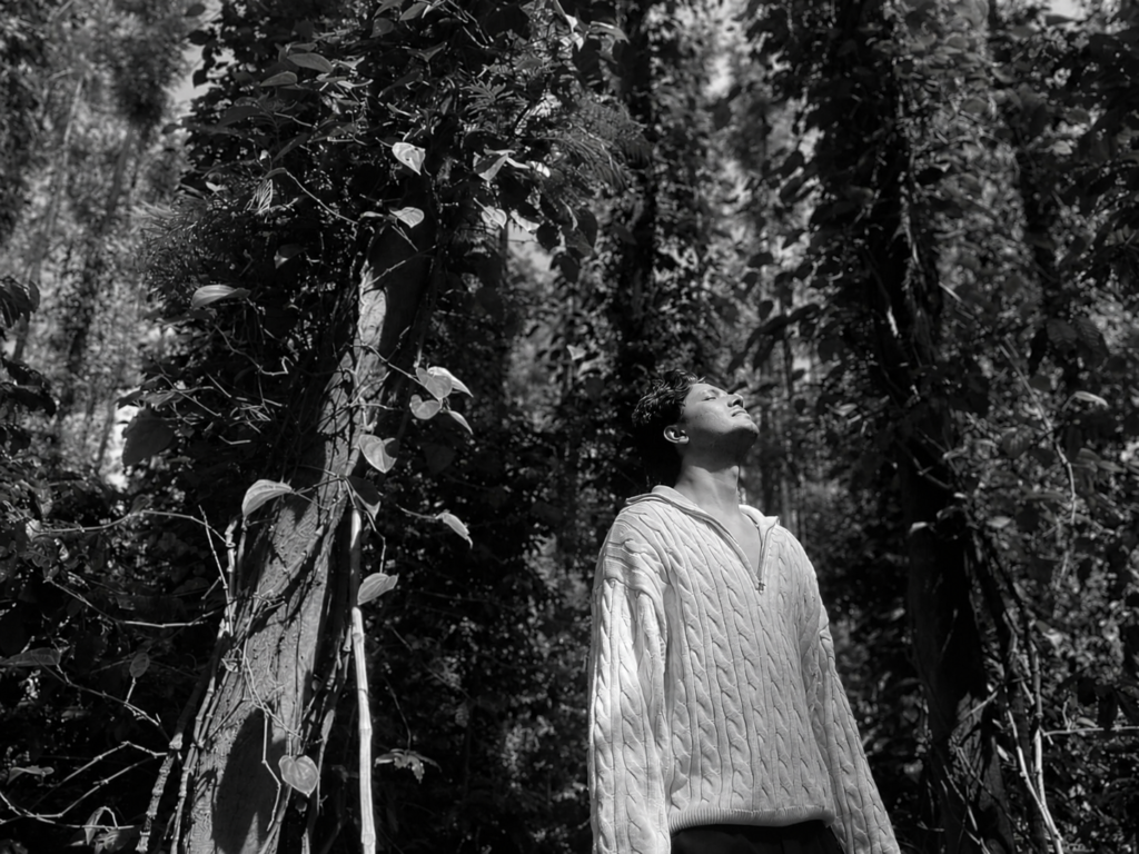 Zenalgorithms founder standing in a forest and looking upward